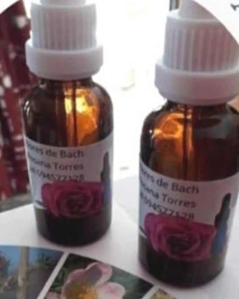 Frascos de Flores de Bach preparados por Rosana Torres